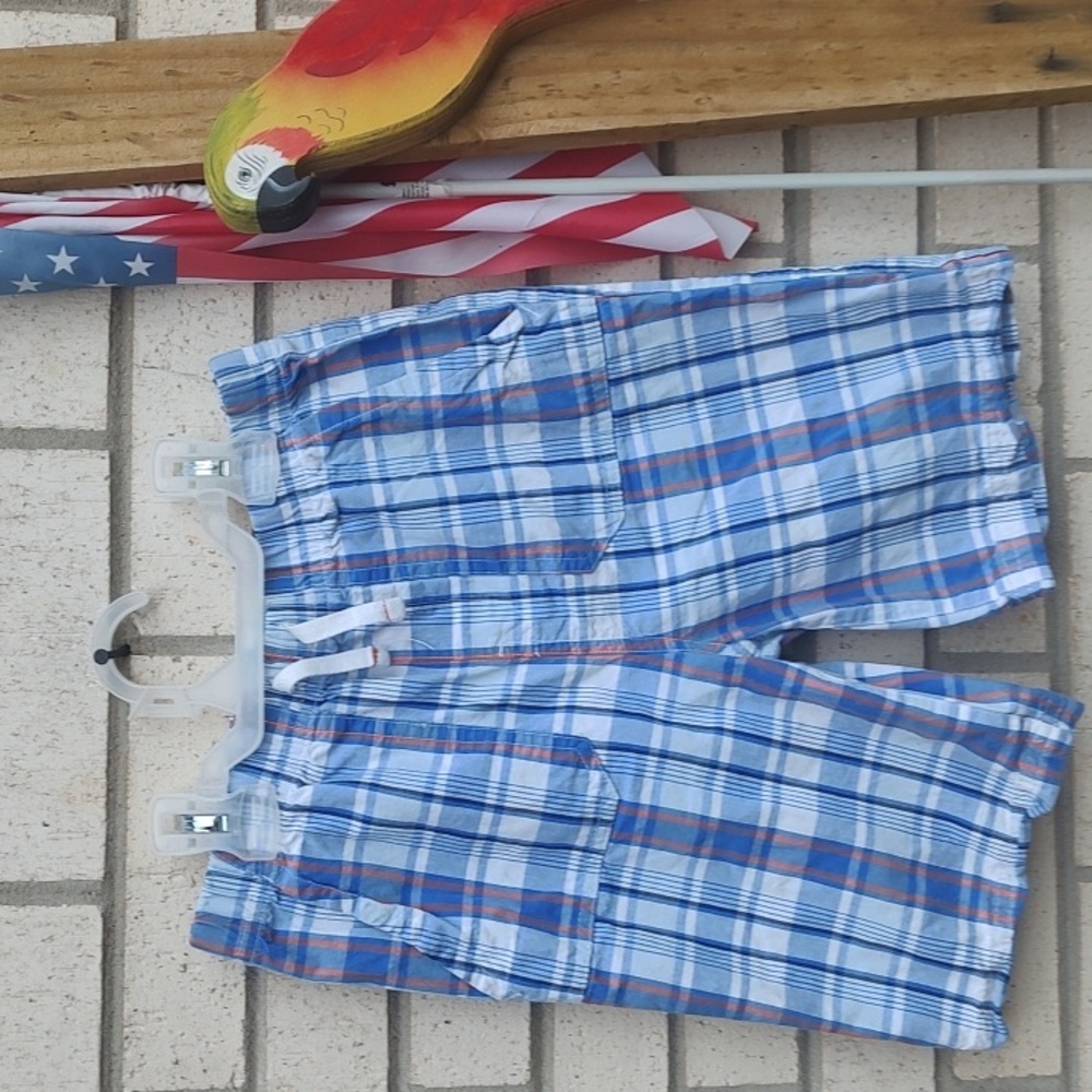 Blue Plaid Shorts